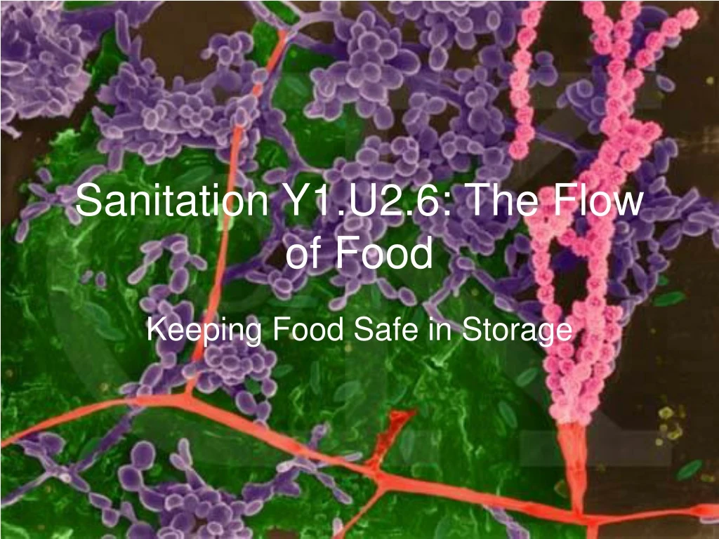 sanitation y1 u2 6 the flow of food