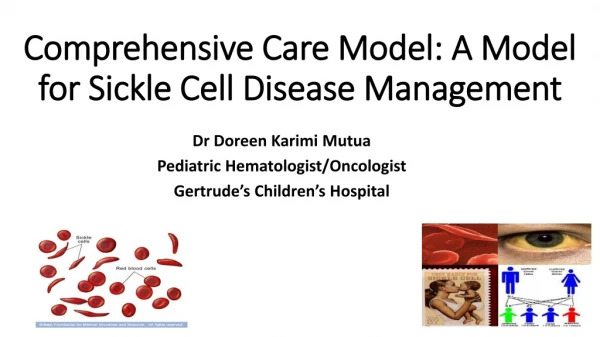 Comprehensive Care Model: A Model for Sickle Cell Disease Management