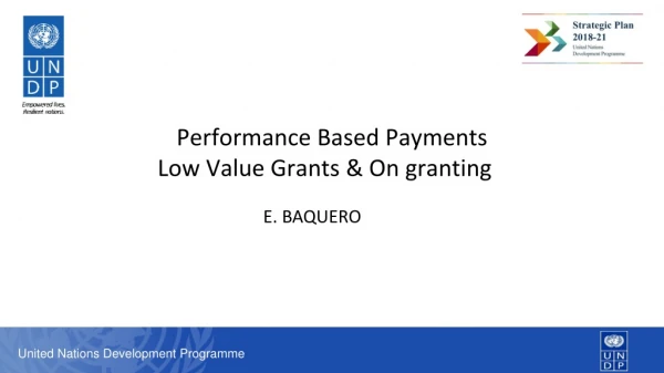 Performance  Based Payments  Low  Value Grants &amp; On granting