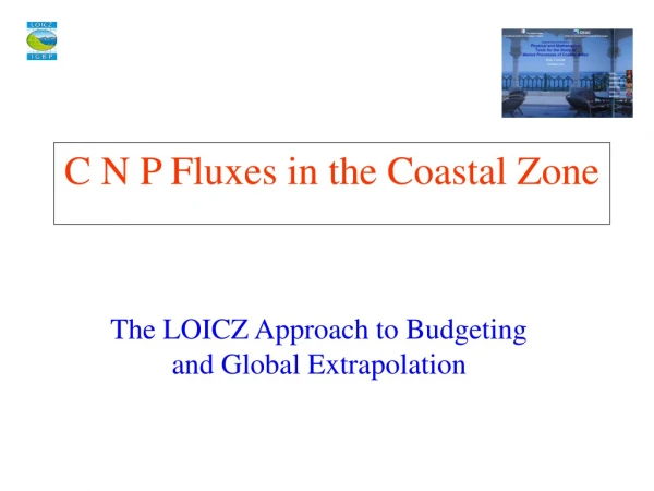 C N P Fluxes in the Coastal Zone