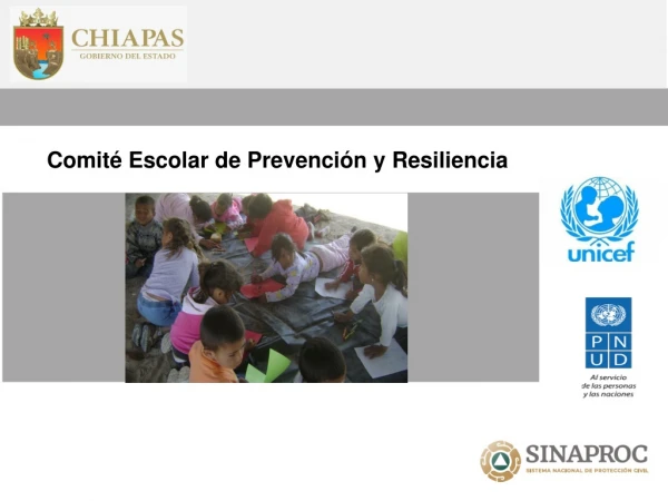 Comité Escolar de Prevención y Resiliencia