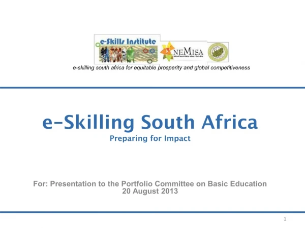 e-Skilling South Africa Preparing for Impact