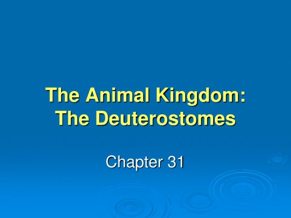 The Animal Kingdom: The Deuterostomes