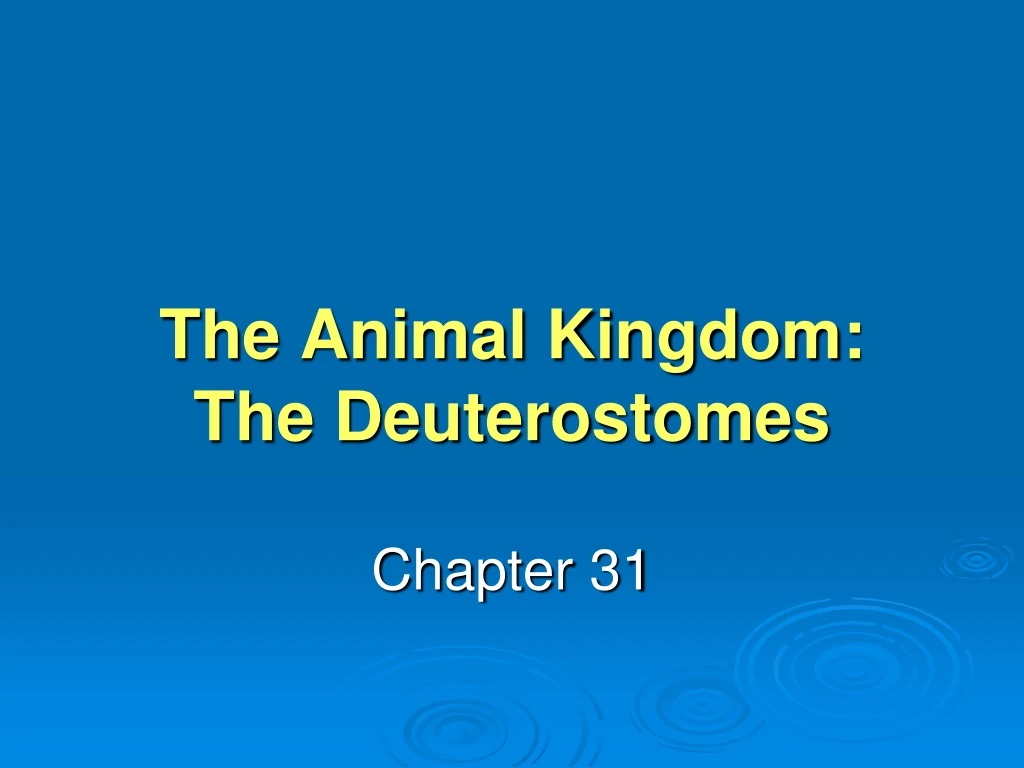 the animal kingdom the deuterostomes