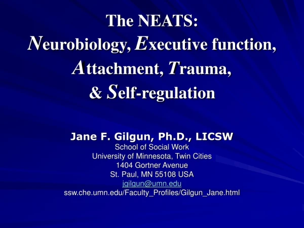 The NEATS: N eurobiology,  E xecutive function,  A ttachment,  T rauma,  &amp;  S elf-regulation
