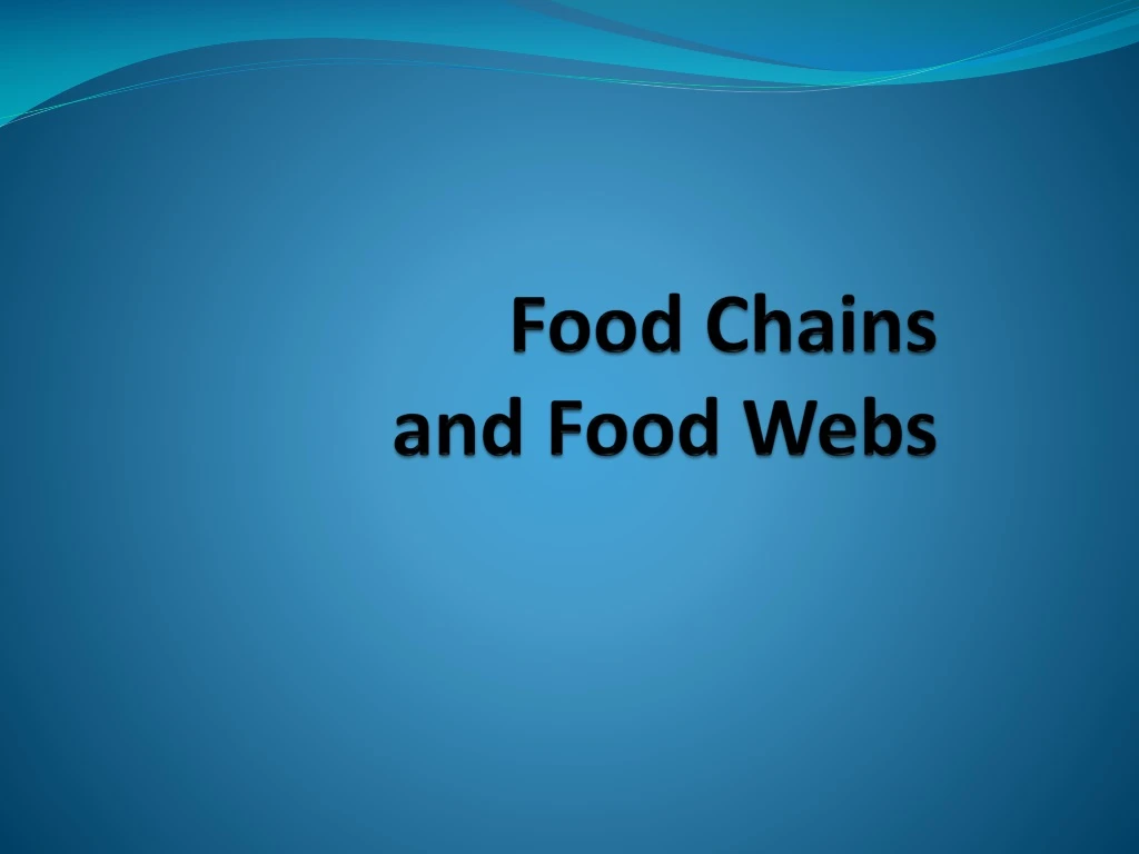 food chains and food webs