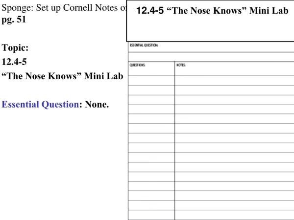 Sponge: Set up Cornell Notes on  pg. 51 Topic:  12.4-5  “The Nose Knows” Mini Lab
