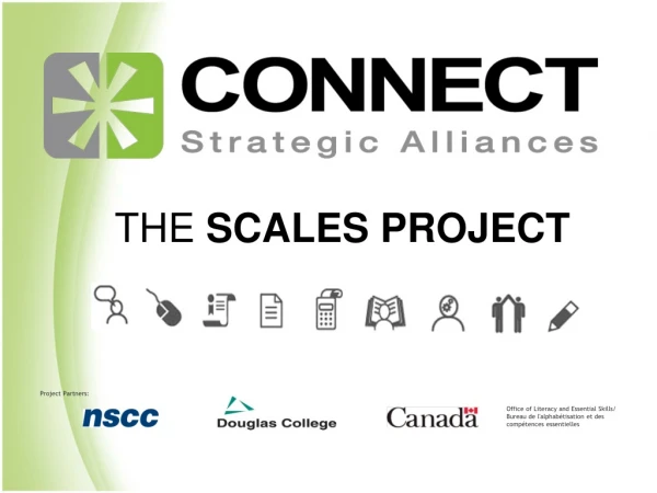 THE  SCALES PROJECT