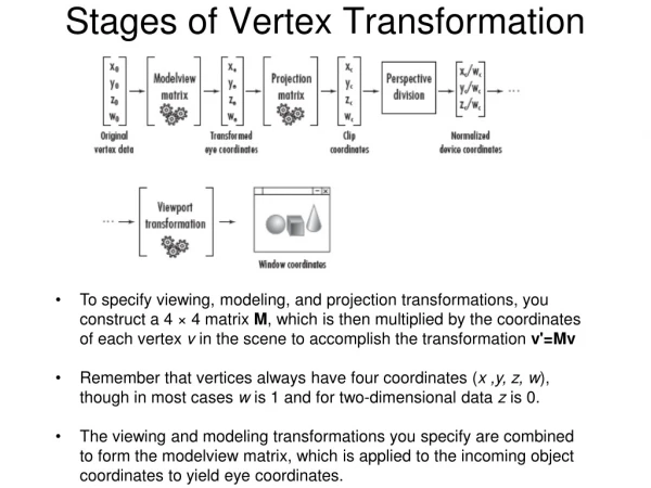 Stages of Vertex Transformation