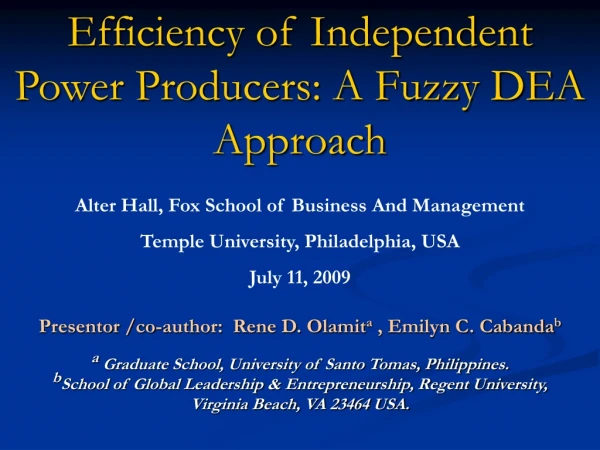 Efficiency of Independent  Power Producers: A Fuzzy DEA Approach