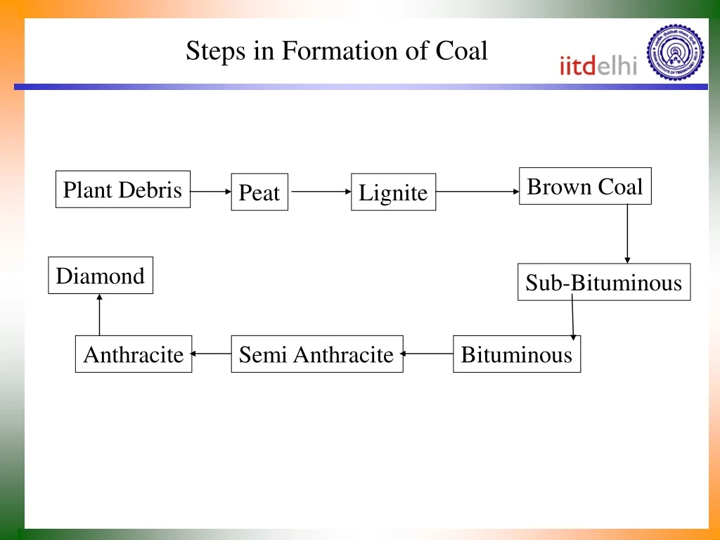 steps in formation of coal