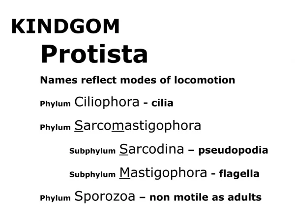 KINDGOM  		Protista 	Names reflect modes of locomotion Phylum Ciliophora  - cilia