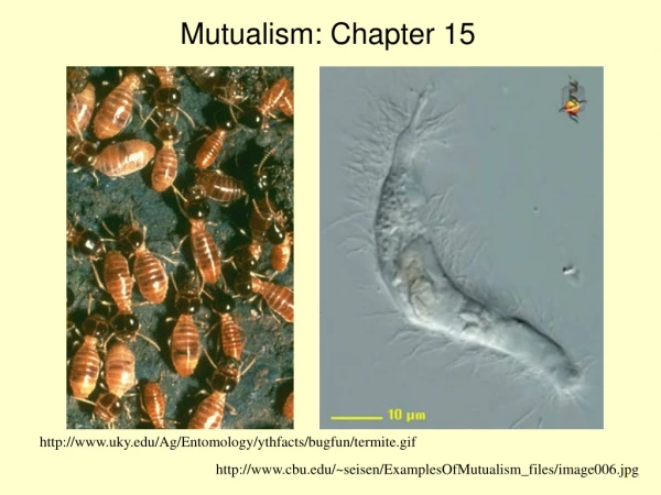 Mutualism: Chapter 15