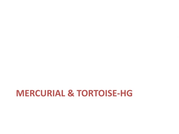 Mercurial &amp;  TorToise -HG