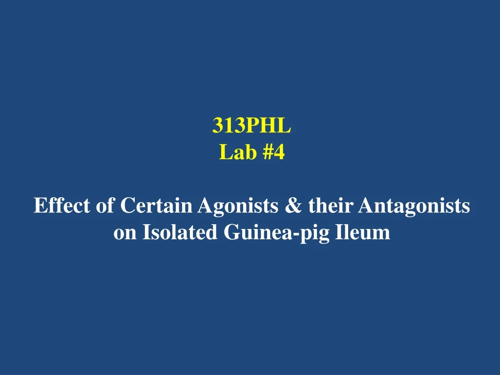 313phl lab 4 effect of certain agonists their antagonists on isolated guinea pig ileum