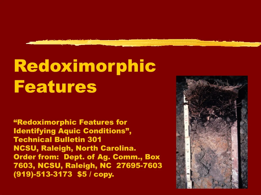redoximorphic features redoximorphic features