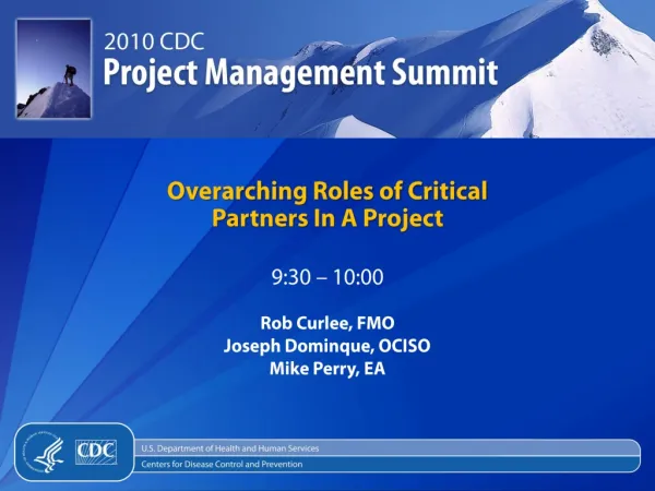 Overarching Roles of Critical Partners In A Project