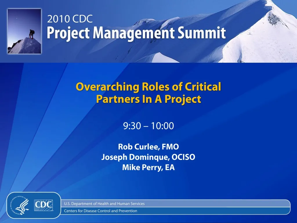 overarching roles of critical partners in a project
