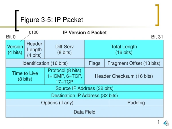 Figure 3-5: IP Packet