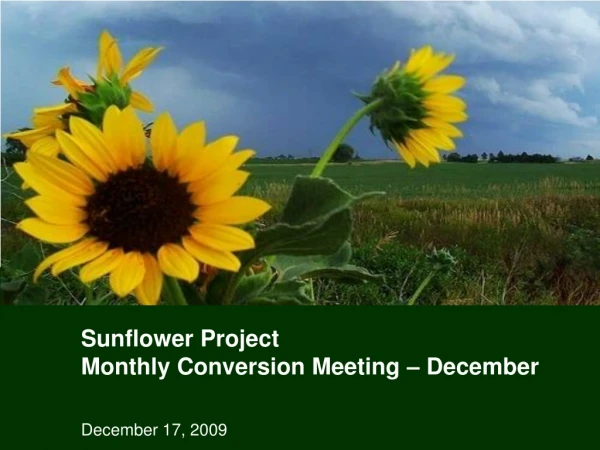 Sunflower Project  Monthly Conversion Meeting – December