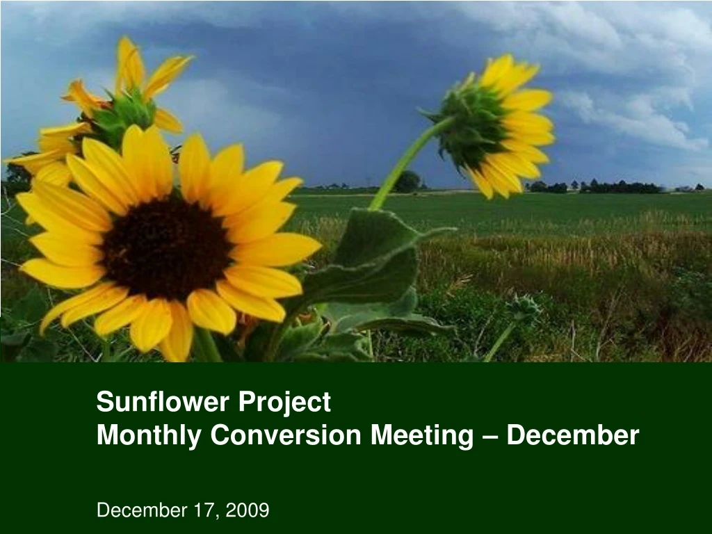 sunflower project monthly conversion meeting december