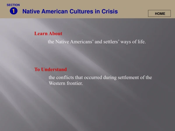 Native American Cultures in Crisis