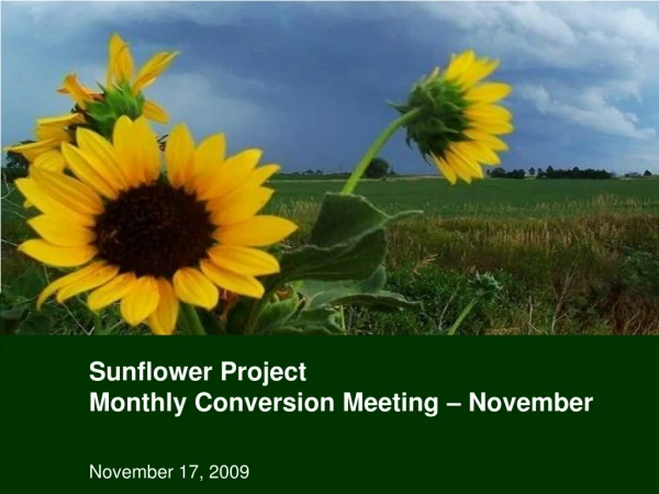 Sunflower Project  Monthly Conversion Meeting – November