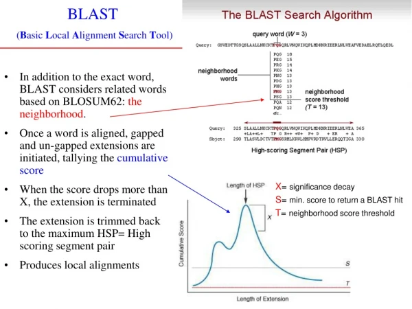 BLAST ( B asic  L ocal  A lignment  S earch  T ool)