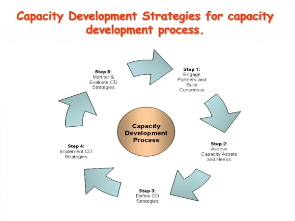 Capacity Development Strategies for capacity development process.