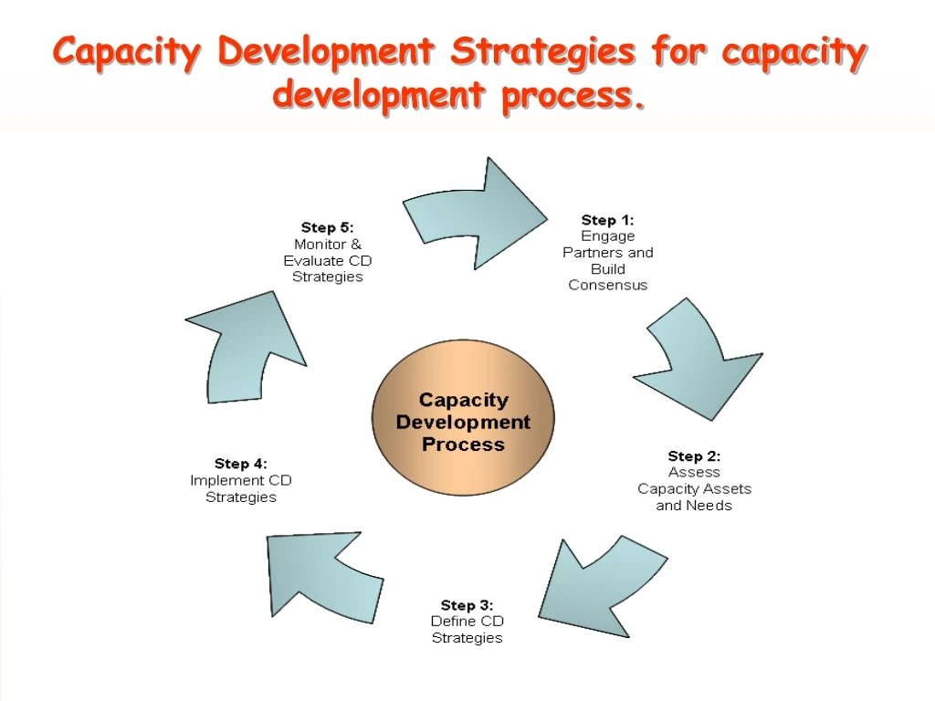 capacity development strategies for capacity development process