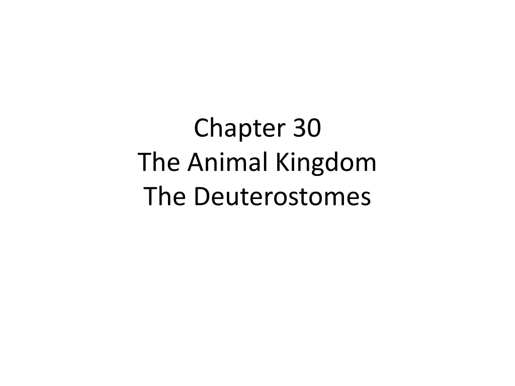 chapter 30 the animal kingdom the deuterostomes