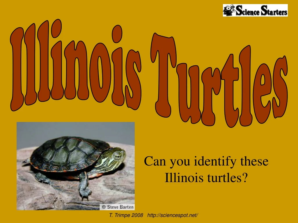 can you identify these illinois turtles