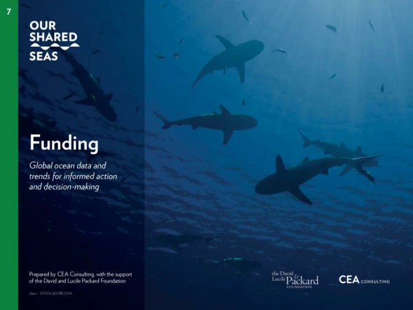 Funding: Overview of marine conservation grantmaking
