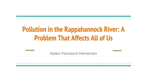 Pollution in the Rappahannock River: A  Problem  That Affects All of Us