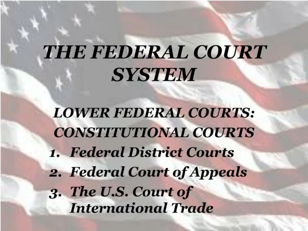 THE FEDERAL COURT SYSTEM