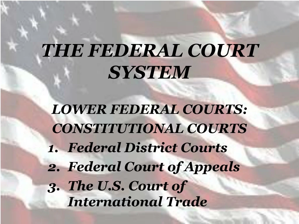 the federal court system