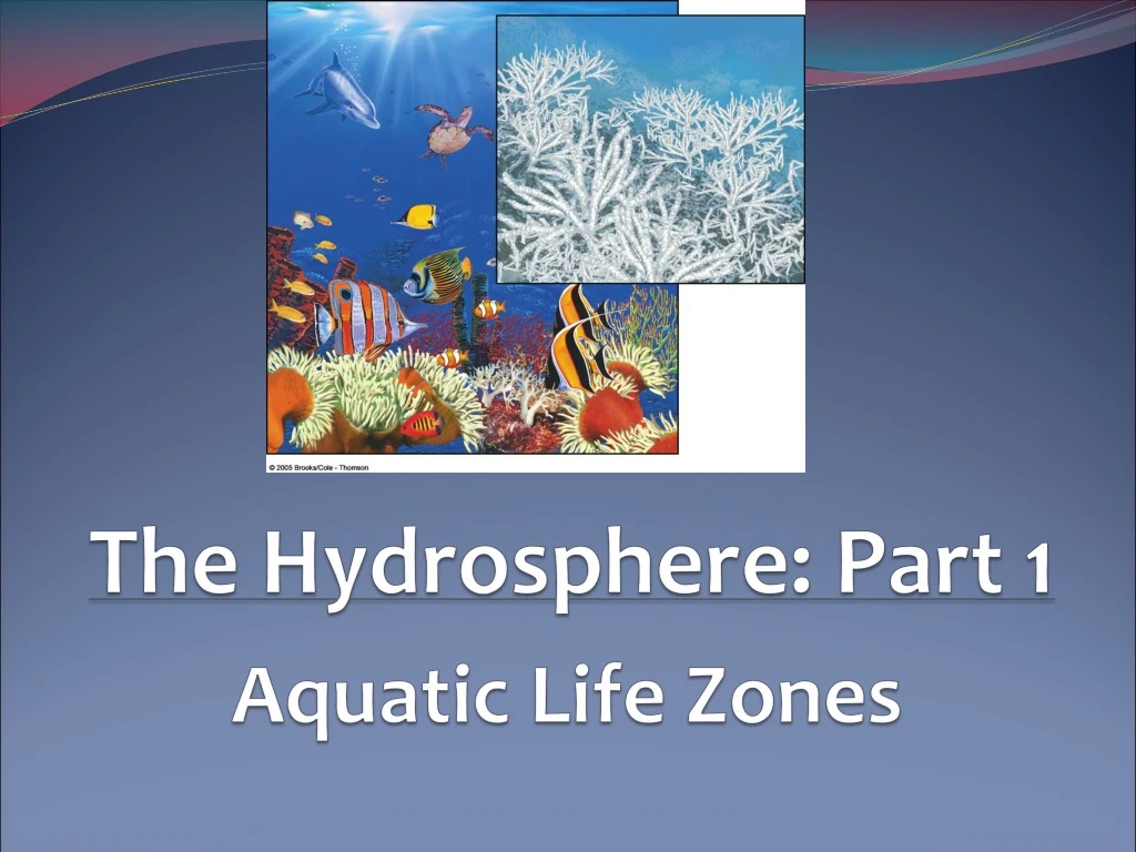 aquatic life zones