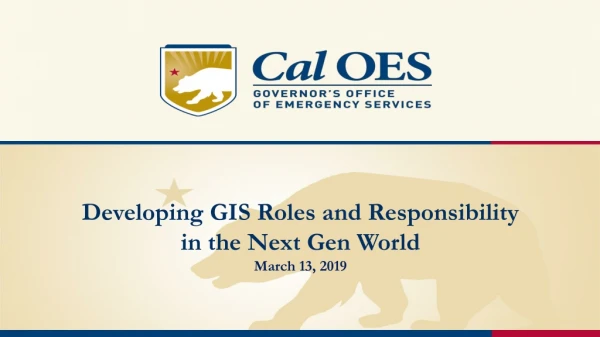 Developing GIS Roles and Responsibility in the Next Gen World   March 13,  2019