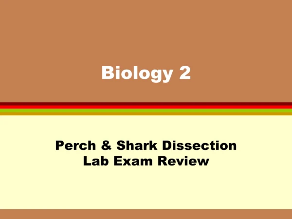 Biology 2