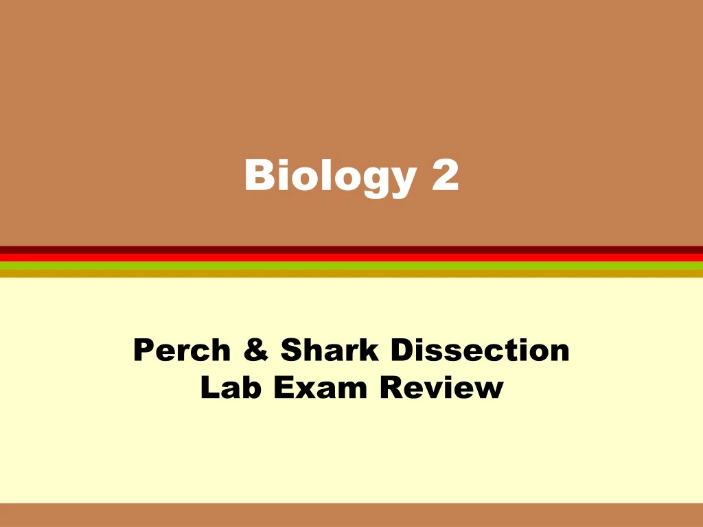 biology 2