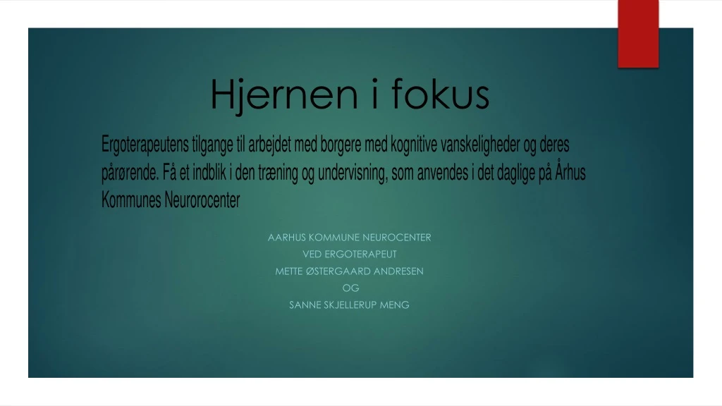 hjernen i fokus