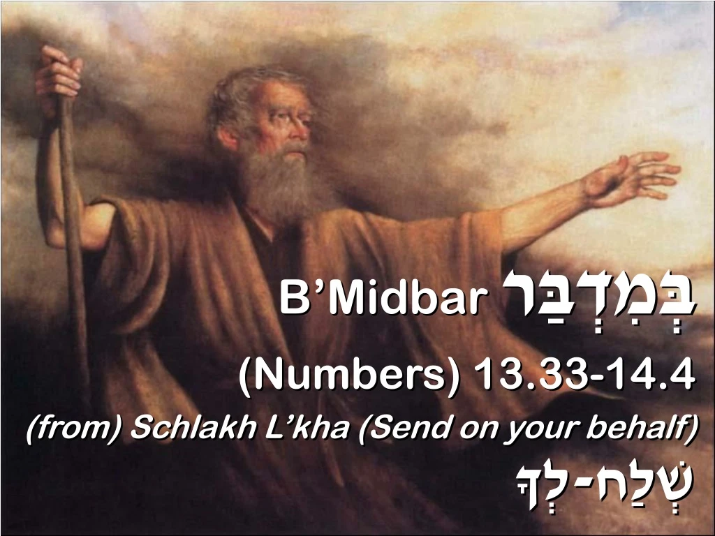 b midbar numbers 13 33 14 4 from schlakh