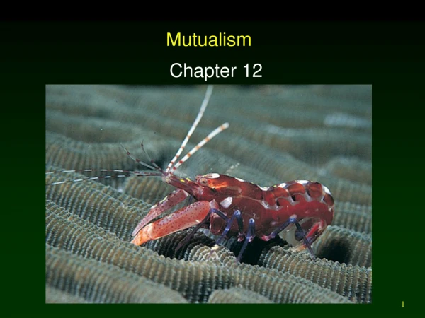 Mutualism