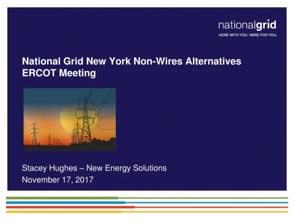 National Grid New York Non-Wires Alternatives ERCOT Meeting