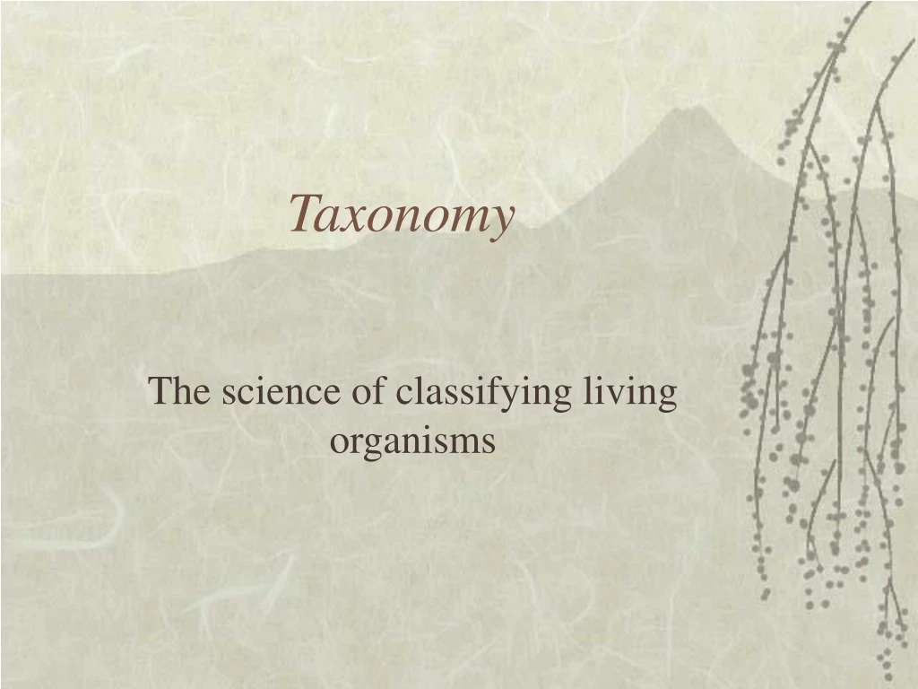 taxonomy