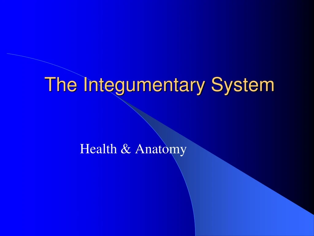 the integumentary system