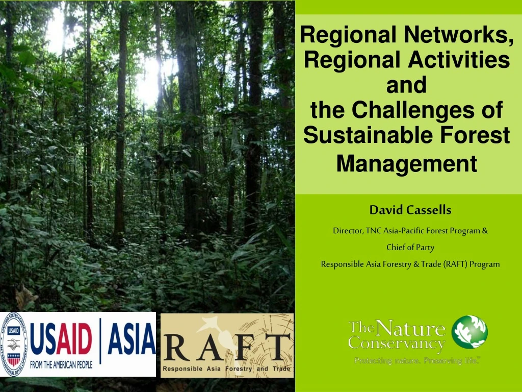 regional networks regional activities and the challenges of sustainable forest management