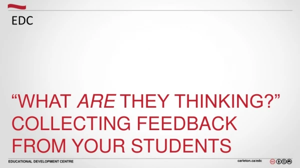 “What  Are  They Thinking?” Collecting Feedback from Your Students