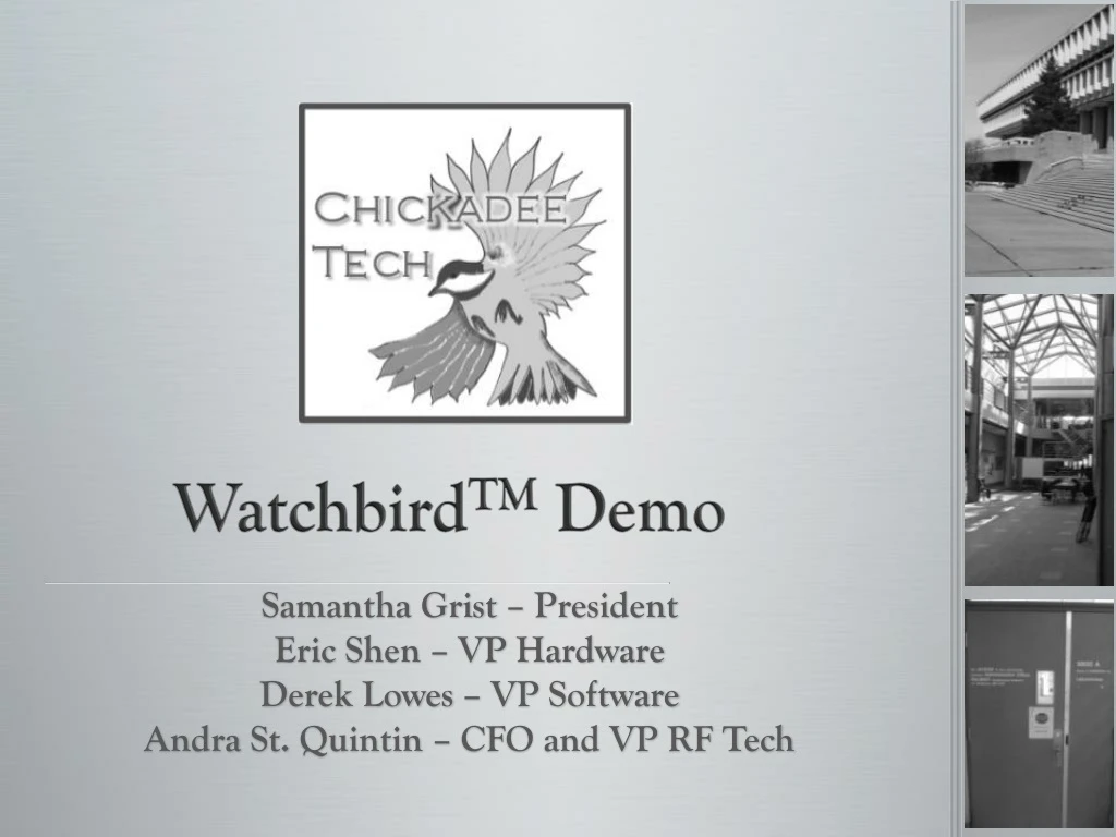 watchbird tm demo