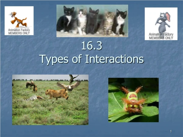 16.3 Types of Interactions